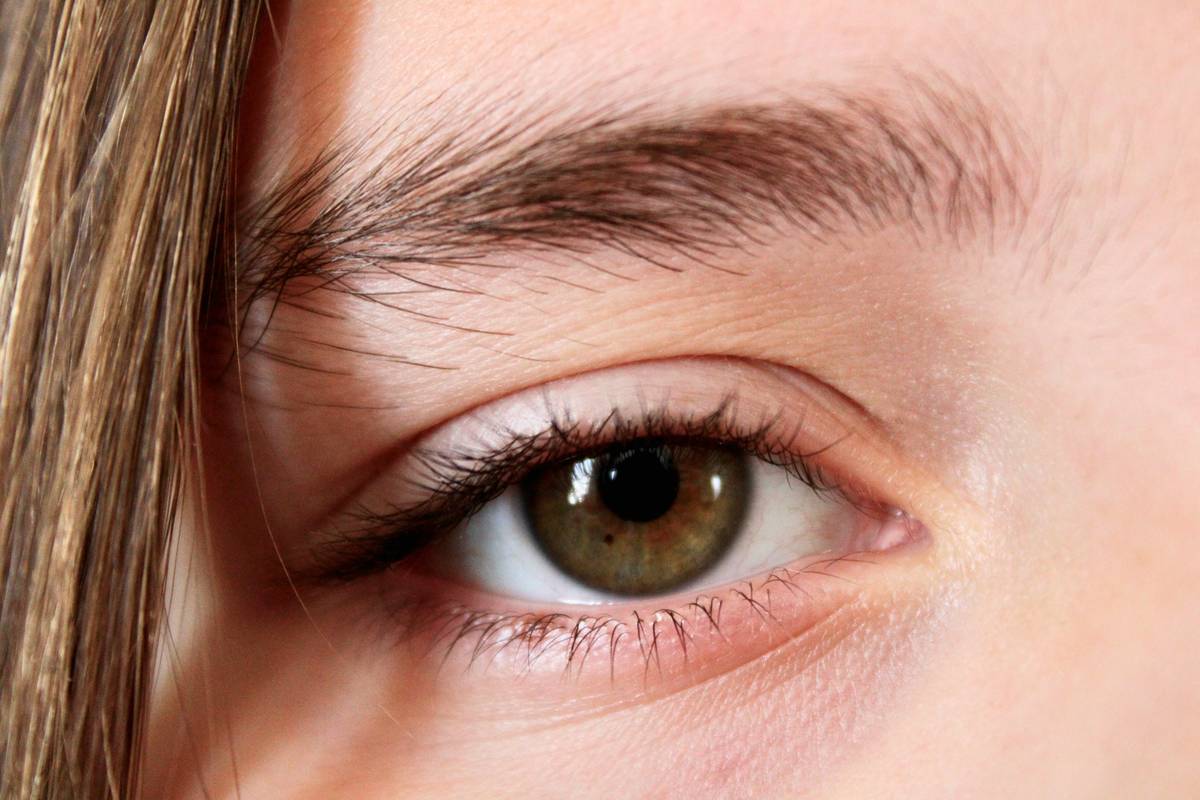 Close-up of high-quality brow detailing tool showing fine-tipped bristles and ergonomic handle
